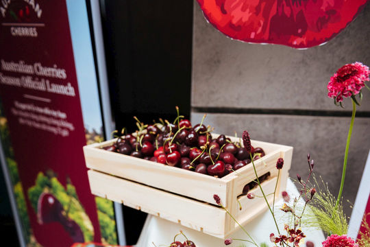 Cherry Úc đẩy mạnh tiếp cận người tiêu dùng Việt
