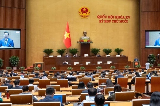 Sửa Luật Thuế Giá trị gia tăng: Tháo gỡ "điểm nghẽn" hoàn thuế, tiếp sức cho ngành nông nghiệp
