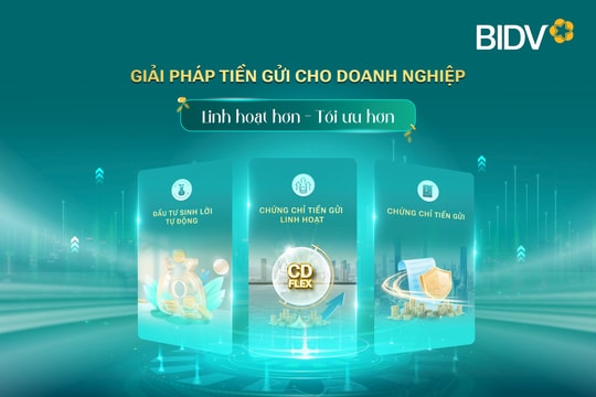 BIDV và giải pháp tiền gửi tối ưu cho doanh nghiệp