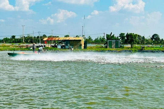 Ngành Ngân hàng Khu vực 15: Đẩy mạnh tín dụng “tam nông”