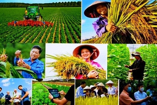 ‏Để nông dân không còn trắng tay sau thiên tai: Cần một "tấm khiên" bảo hiểm nông nghiệp thực chất ‏