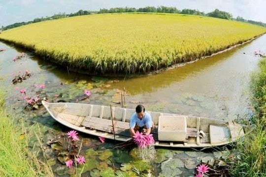 ‏Nguồn “vốn xanh” thúc đẩy nông nghiệp bền vững‏