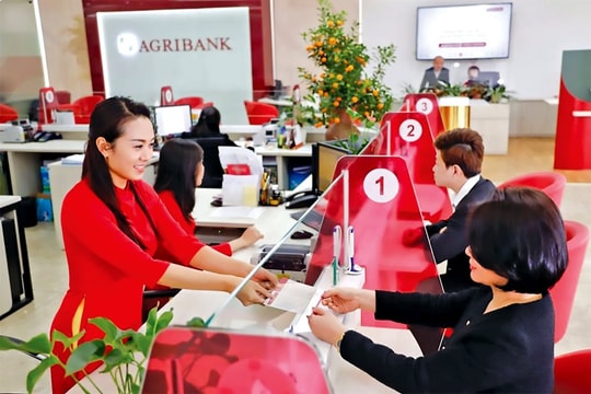 Đa dạng hóa nguồn vốn, giảm dần phụ thuộc tín dụng
