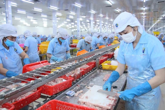 ‏Dòng chảy vốn ngân hàng “bệ đỡ” phát triển ngành hàng cá tra ‏