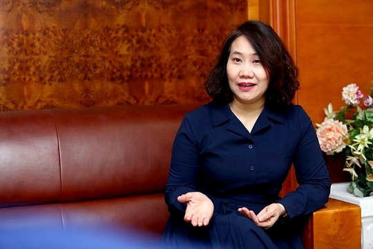 Tổng điều tra kinh tế 2026: Nền tảng dữ liệu cho điều hành và phát triển trong giai đoạn mới