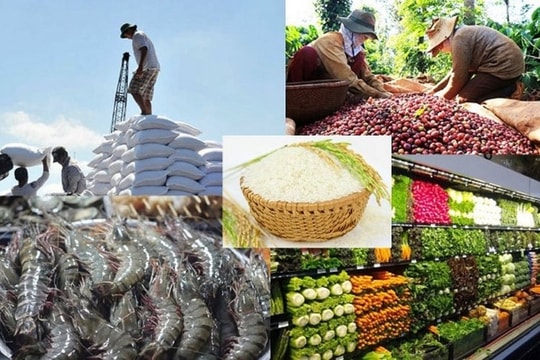 Đạt hơn 70 tỷ USD, xuất khẩu nông lâm thủy sản vượt xa mục tiêu đề ra