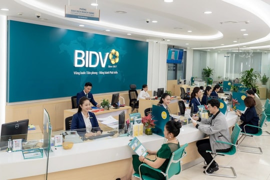 Dòng vốn tín dụng mở lối tăng trưởng mới cho tỉnh Đắk Lắk và tỉnh Gia Lai