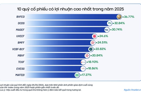 Nhìn lại lợi nhuận quỹ mở năm 2025