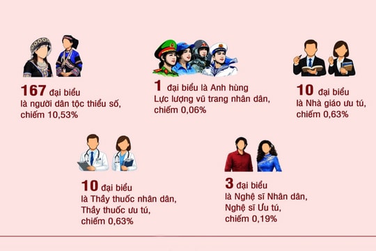 [Infographic] Cơ cấu, thành phần đại biểu dự Đại hội XIV của Đảng