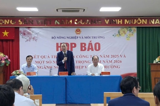 Xuất khẩu gạo trước sức ép SPS, giới hạn quota của Philippines và bài toán vốn cho doanh nghiệp