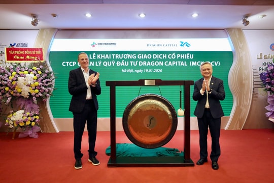 Cổ phiếu Dragon Capital tăng phi mã dù lợi nhuận năm 2025 sụt giảm một nửa