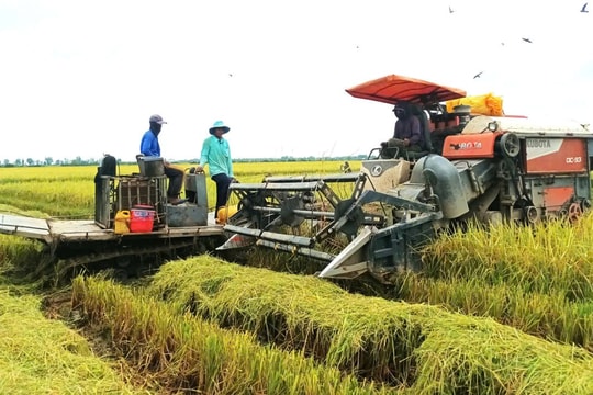 Ngành Ngân hàng Khu vực 14: Tín dụng - từ “bệ đỡ truyền thống” đến động lực tăng trưởng mới
