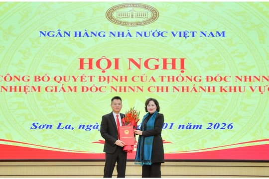 Bổ nhiệm Giám đốc Ngân hàng Nhà nước Chi nhánh Khu vực 3