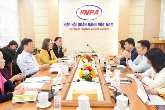 Phó Chủ tịch kiêm Tổng Thư ký Nguyễn Quốc Hùng làm việc với Chủ nhiệm Câu lạc bộ Xử lý nợ