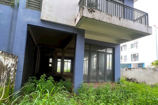 Một căn nhà bỏ hoang nhiều năm vẫn tăng giá gấp 2 - 3 lần có vô lý?