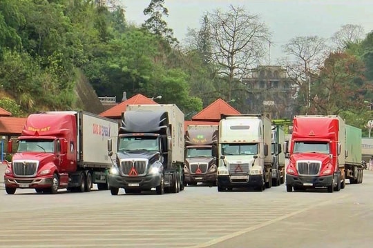 Hàng trăm nghìn tấn nông sản nhập khẩu bị ách tắc, cần sớm có văn bản hướng dẫn