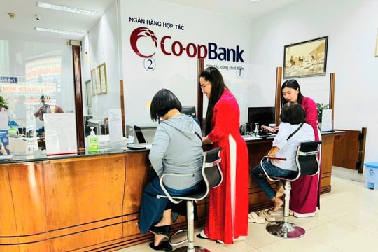 ‏Tái cấu trúc hệ thống Quỹ tín dụng nhân dân: Yêu cầu cấp thiết trong giai đoạn phát triển mới‏