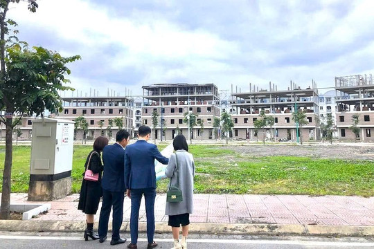 “Lá chắn vàng” của môi giới chuyên nghiệp trong năm mới Bính Ngọ