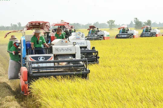 Ngành Ngân hàng Khu vực 14: Khi tín dụng “chảy” vào sản xuất kinh doanh