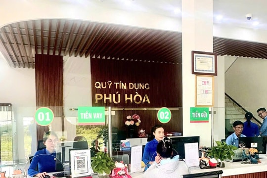 ‏Củng cố “mạch vốn” cho kinh tế tập thể và nông thôn bền vững‏