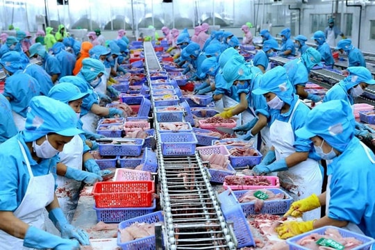 Cá tra Việt Nam chinh phục chuỗi sushi Nhật Bản, mở rộng phân khúc cao cấp