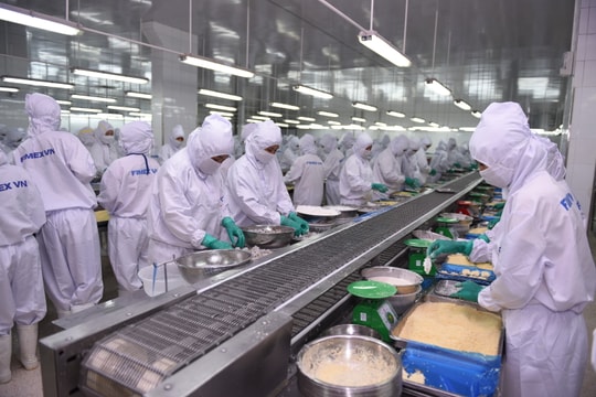 Xung đột Trung Đông tác động đến ngành tôm Việt Nam