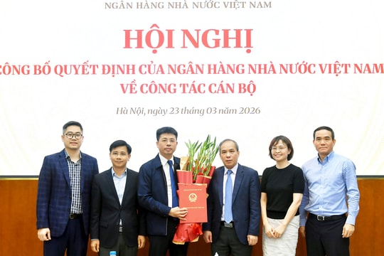 Bổ nhiệm Phó Cục trưởng Cục An toàn hệ thống các tổ chức tín dụng