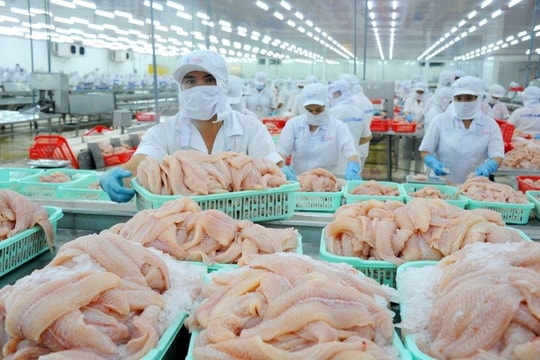 Vốn ngân hàng “dẫn mạch” để tỉnh An Giang và Cà Mau bứt phá tăng trưởng