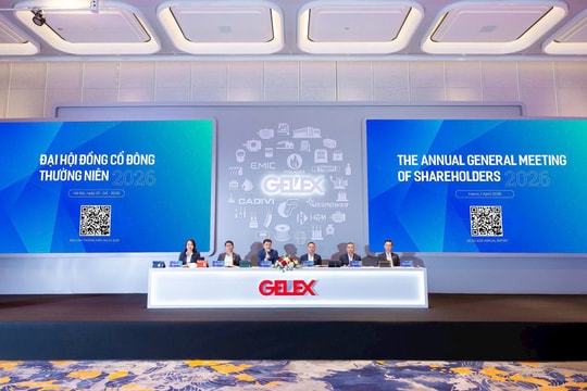 ĐHĐCĐ Gelex: Có thể tăng sở hữu Eximbank lên 15% nếu luật định cho phép, cử đại diện tham gia HĐQT ngân hàng
