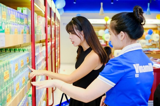 Đầu tư SCIC muốn mua thêm 1 triệu cổ phiếu Vinamilk