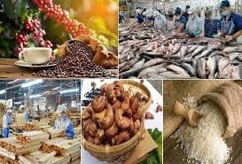 Xuất khẩu nông lâm thủy sản 3 tháng đầu năm 2026 đạt gần 17 tỷ USD
