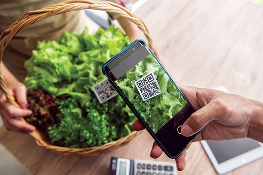 Truy xuất nguồn gốc Blockchain và việc mua thực phẩm hữu cơ: Ảnh hưởng điều tiết của ý thức sức khỏe