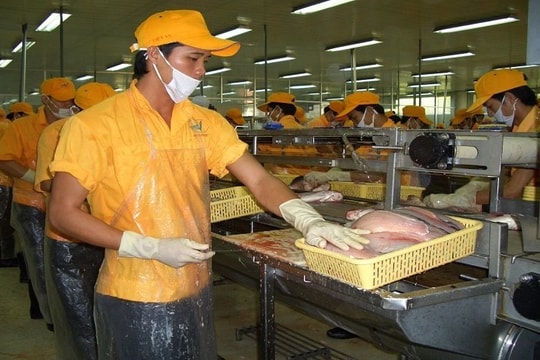Cá tra Việt Nam định vị thương hiệu tại thị trường Nhật Bản