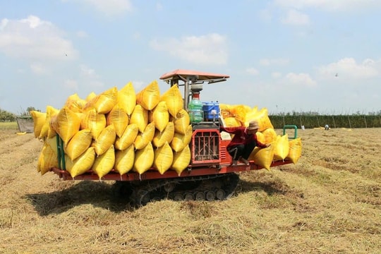 ‏Khi dòng vốn ngân hàng trở thành “chìa khóa” tăng trưởng kinh tế tỉnh An Giang‏‏ ‏