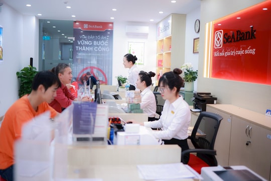 SeABank dự kiến chia cổ tức 20,5%, tăng vốn lên 34.688 tỷ đồng trong năm 2026