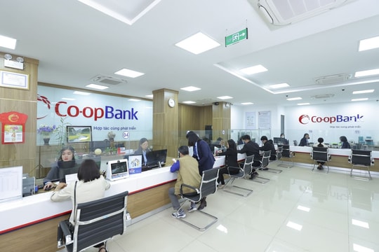 Co-opBank chủ động giảm lãi suất, hỗ trợ Quỹ tín dụng nhân dân và khách hàng