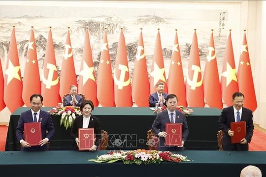 Trung Quốc mở cửa thị trường cho bưởi và chanh của Việt Nam