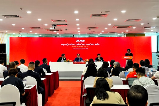 ĐHĐCĐ MSB: Mục tiêu lãi 8.000 tỷ đồng, kỳ vọng định giá TNEX Finance 1-2 tỷ USD trong 5-7 năm tới
