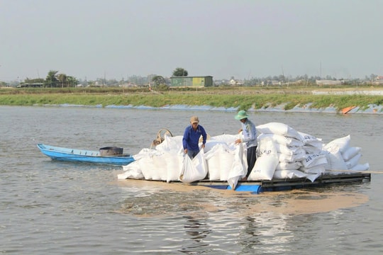 Khơi thông dòng vốn tín dụng: Đòn bẩy đưa thủy sản và chăn nuôi tỉnh Đồng Tháp bứt phá năm 2026