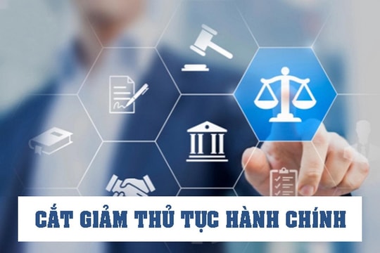 Cắt giảm, đơn giản hóa thủ tục hành chính, điều kiện kinh doanh bảo đảm thực chất, phù hợp thực tiễn, đáp ứng yêu cầu quản lý