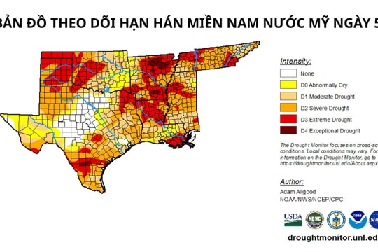 Thiếu hụt nguồn cung, giá nhiều mặt hàng trên thị trường hàng hóa tăng vọt
