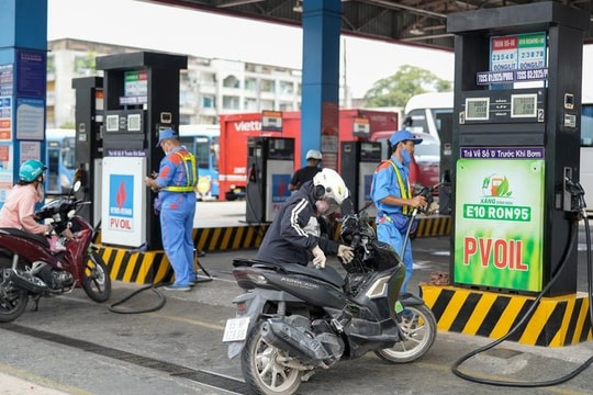 Yêu cầu giám sát chặt việc triển khai xăng sinh học E10 từ ngày 1/6/2026