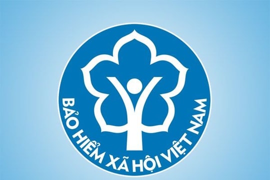 Bổ nhiệm kiêm giữ chức Ủy viên Hội đồng quản lý bảo hiểm xã hội