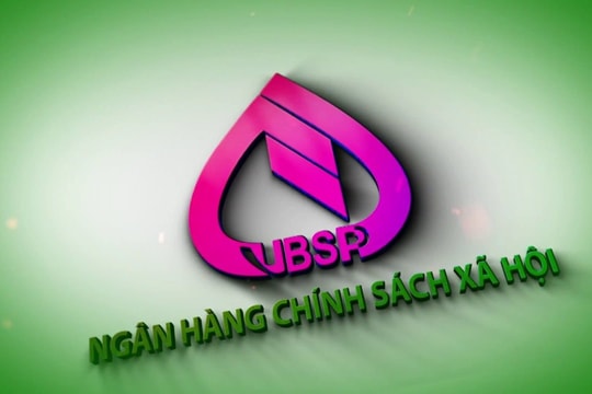 Bổ nhiệm kiêm giữ chức Ủy viên Hội đồng quản trị Ngân hàng Chính sách xã hội