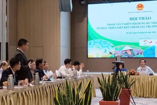 Liên kết chuỗi giá trị nông nghiệp: Cần nền tảng thể chế mới để tổ chức lại sản xuất nông nghiệp