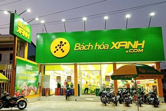 Bách Hóa Xanh thu hơn 23.000 tỷ đồng sau 5 tháng, mở mới 532 cửa hàng