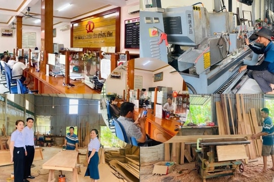 QTDND Quảng Tâm: Đồng hành cùng người dân làm giàu
