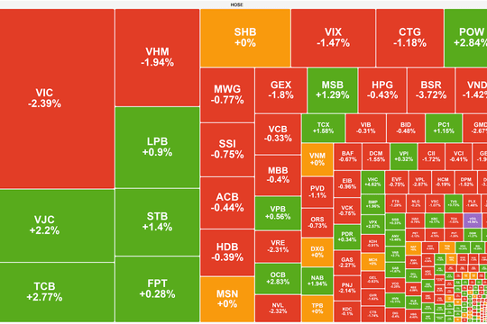Họ Vingroup điều chỉnh, VN-Index giảm sâu