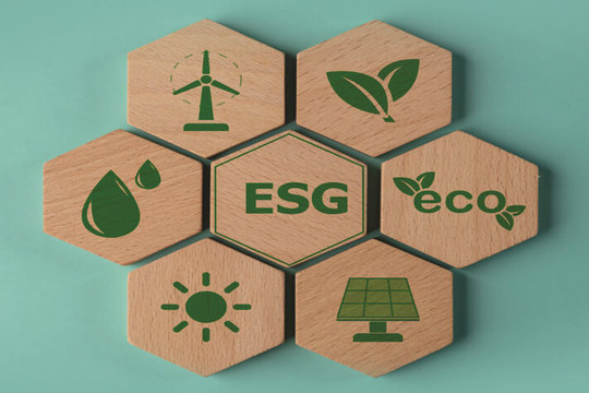 Xây dựng chiến lược ESG - Định hình tương lai bền vững hệ thống ngân hàng thương mại Việt Nam