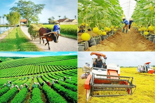 Thành lập Ban Chỉ đạo Trung ương thực hiện các Chương trình mục tiêu quốc gia